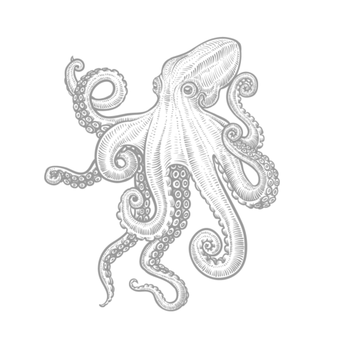 comprar-pulpo-online